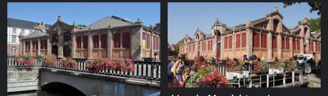 Coeur D'Elsass "Rapp"Appartement Avec Parking Colmar Esterno foto