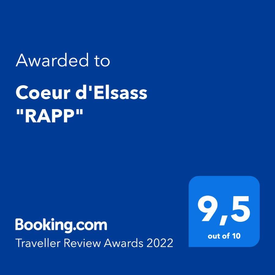 Coeur D'Elsass "Rapp"Appartement Avec Parking Colmar Esterno foto