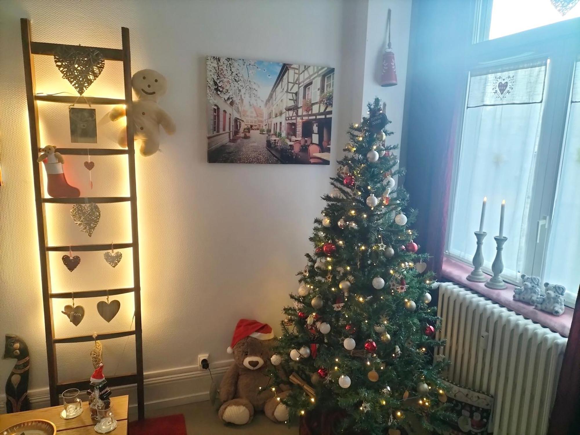 Coeur D'Elsass "Rapp"Appartement Avec Parking Colmar Esterno foto