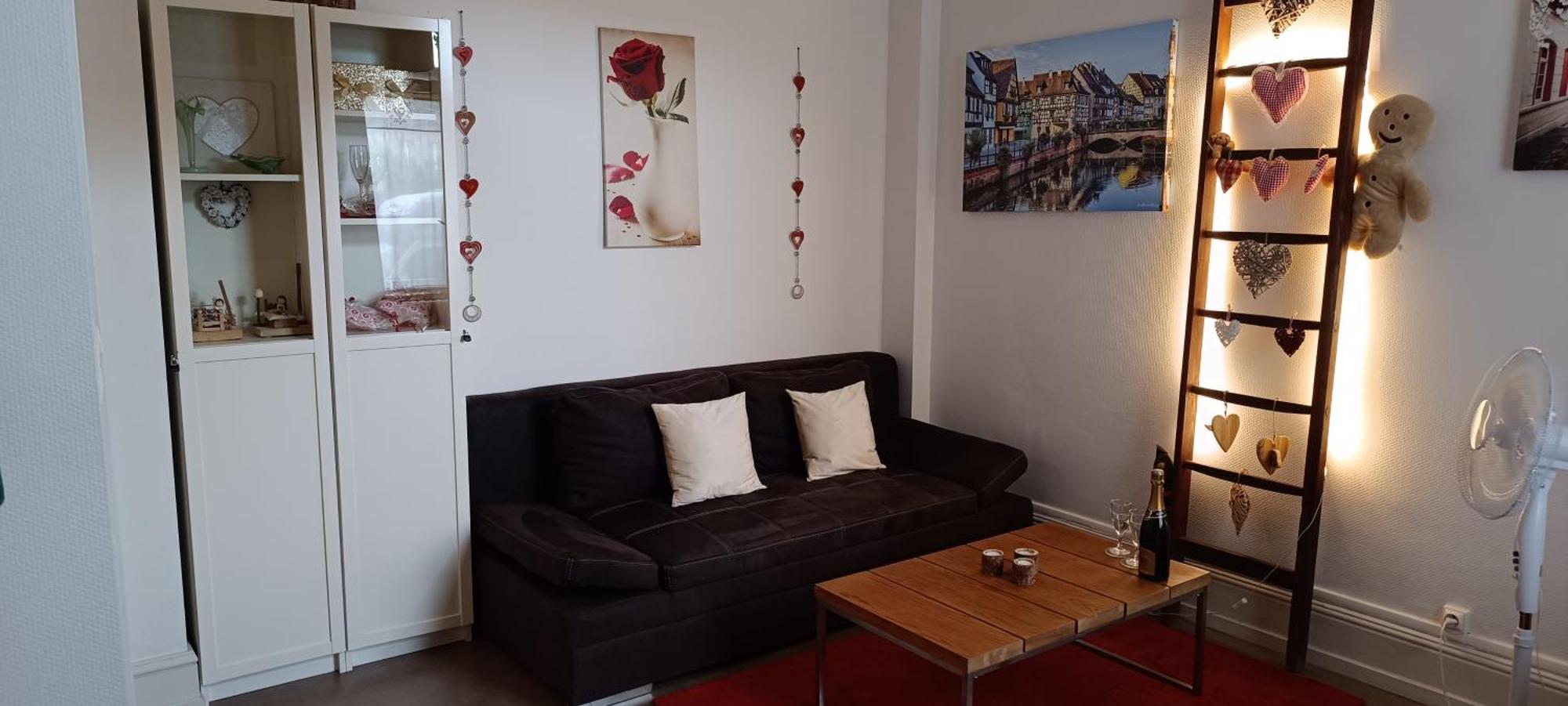 Coeur D'Elsass "Rapp"Appartement Avec Parking Colmar Esterno foto