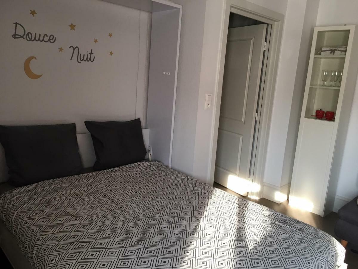 Coeur D'Elsass "Rapp"Appartement Avec Parking Colmar Esterno foto